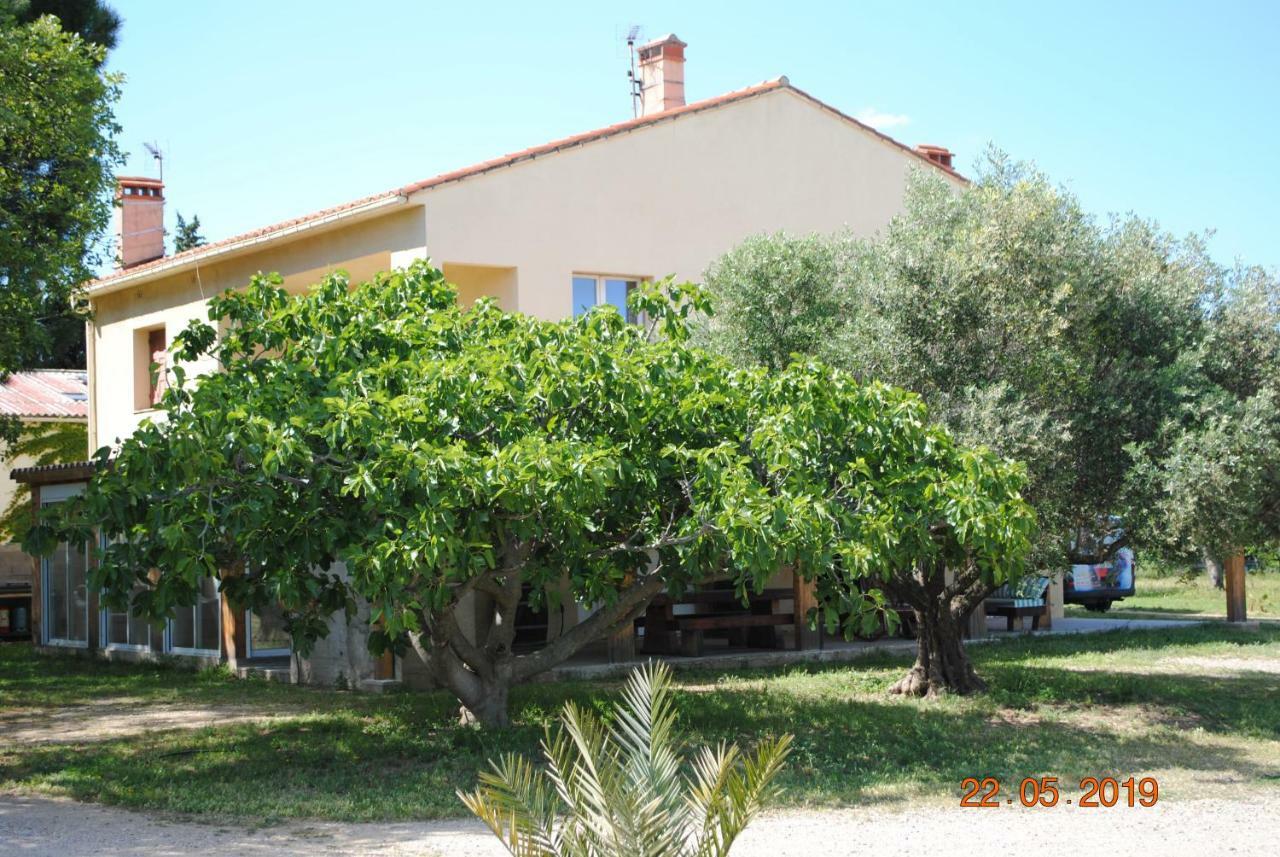 Mas De La Vignassa Villa Le Soler Buitenkant foto